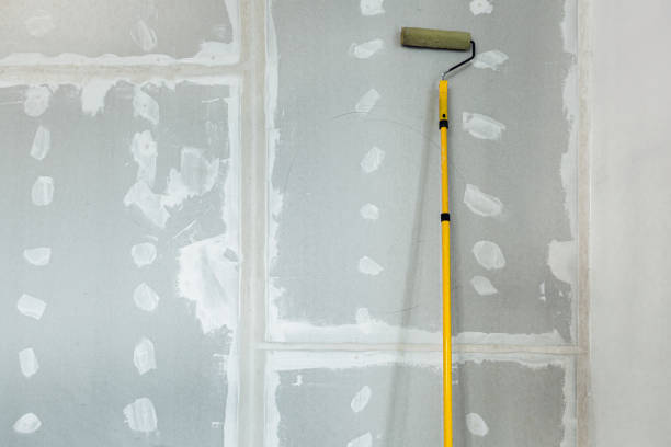 Best Mold Damage Restoration  in Affton, MO